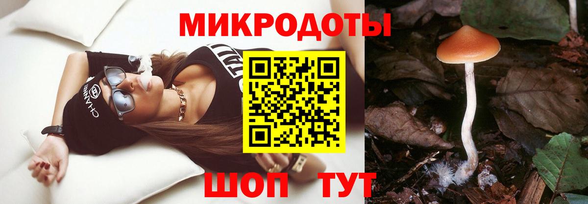 Галлюциногенные грибы Psilocybe Зеленодольск